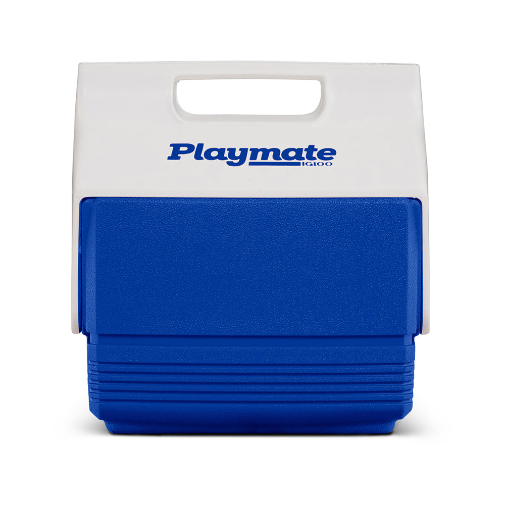 Mini Cooler