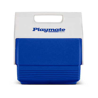 Mini Cooler