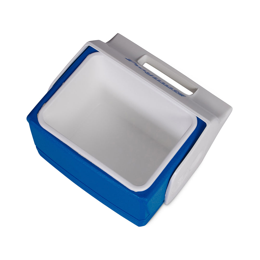 Mini Cooler