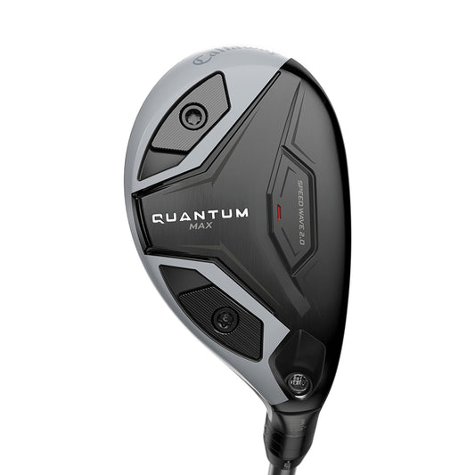 Quantum Max Hybrid